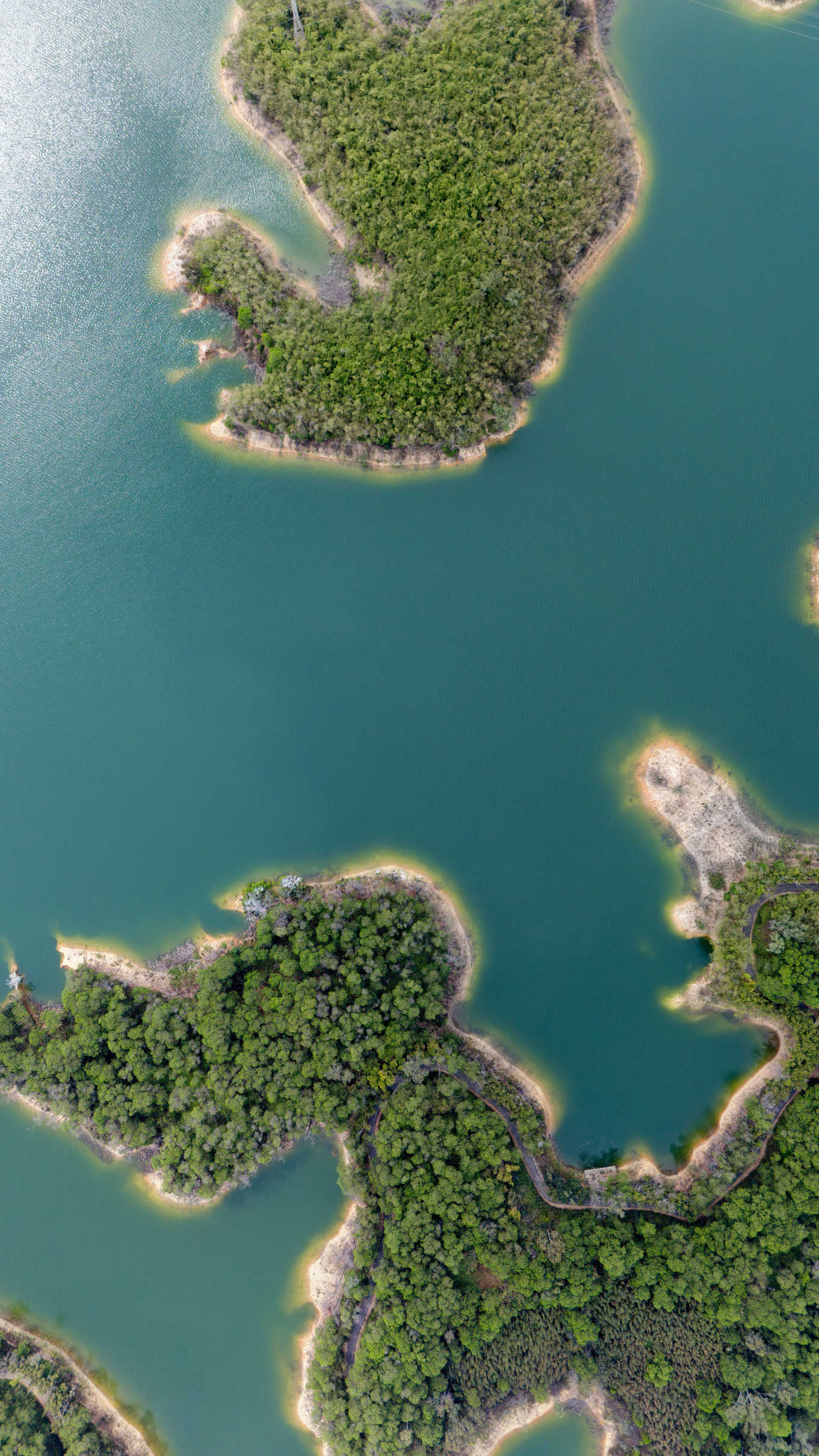 航拍系列 DJI_20250301141123_0559_D-已增强-降噪